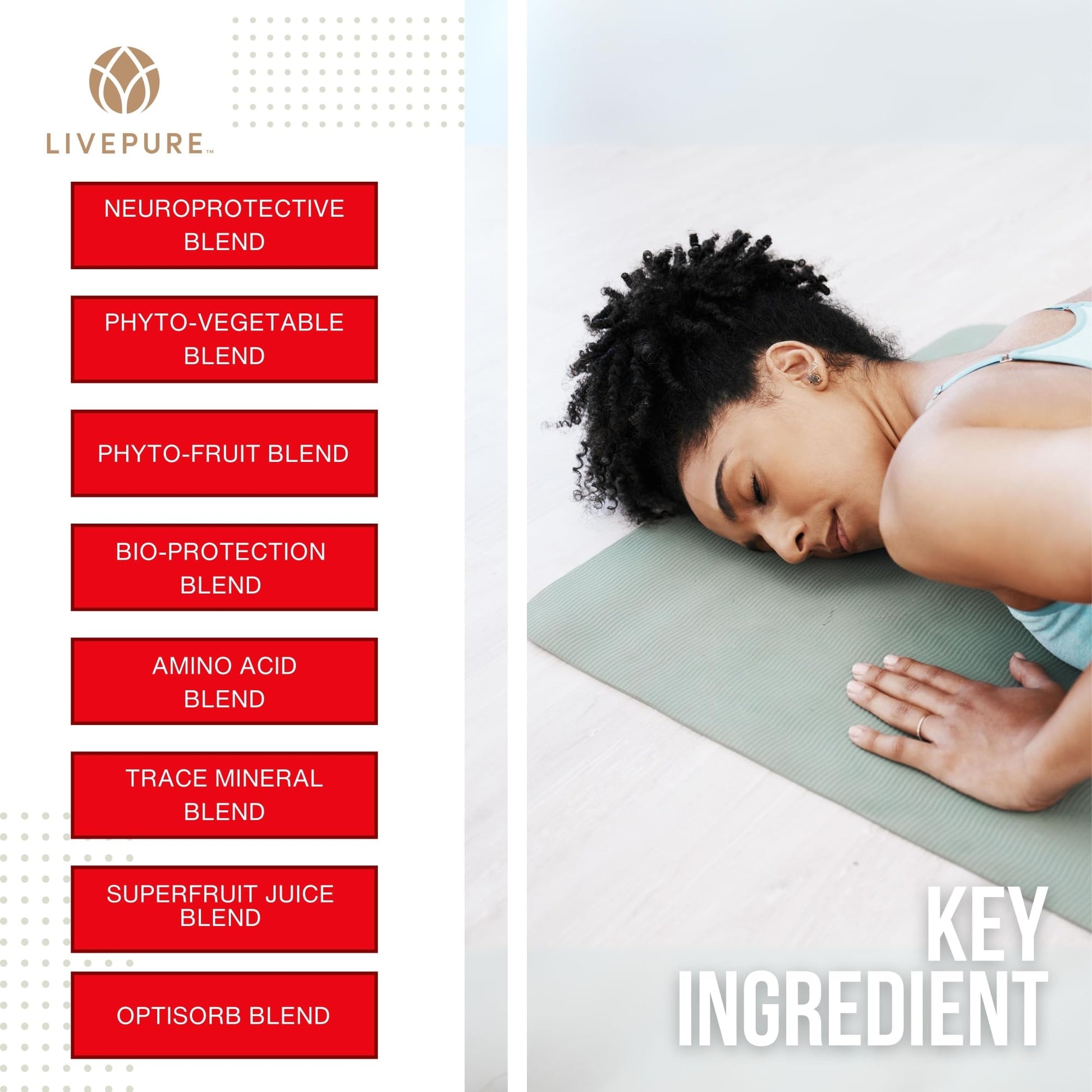 PURE Daily Build | 120 Capsules | Advanced Multivitamin Supplement | Enhanced with Essential Vitamins, Minerals - Maple Wellness Supplements