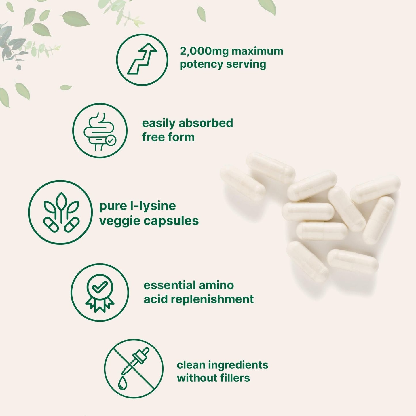 Pure L-Lysine 2,000mg, 300 Veggie Capsules | Maximum Potency, Easily Absorbed, Free Form | Essential Amino Acid for Collagen, Lip, & Immune Support - Maple Wellness Supplements