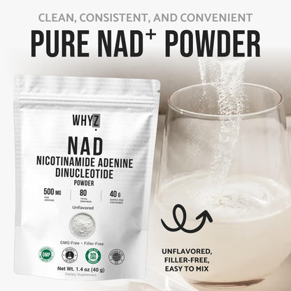 Pure NAD Powder Nicotinamide Adenine Dinucleotide Supplement Unflavored and Gluten-Free Premium Pure NAD Powder for Daily Wellness and Nutrition Support, 40g - Maple Wellness Supplements