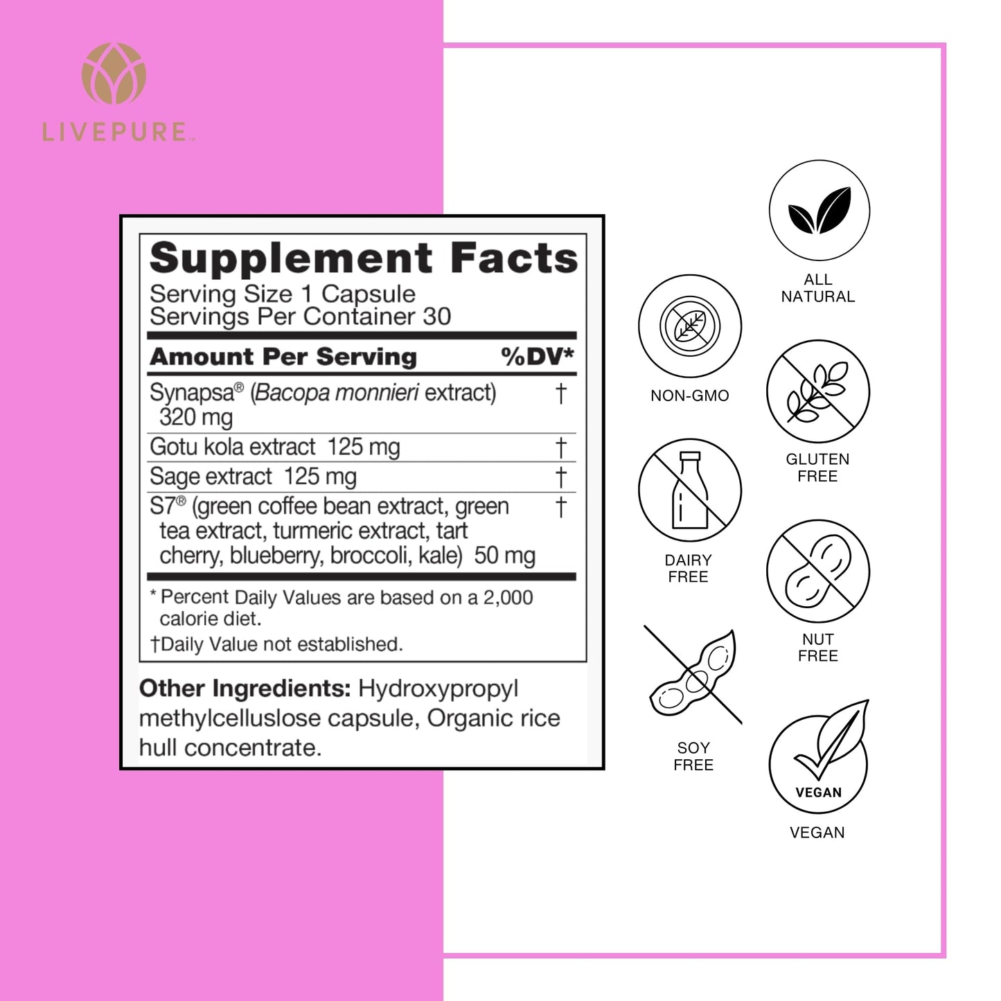 Pure Neuro Boost | 30 Capsules | Supplement to Support Energy, Memory, and Focus | Supports Better Concentration & Healthy Brain Function - Maple Wellness Supplements