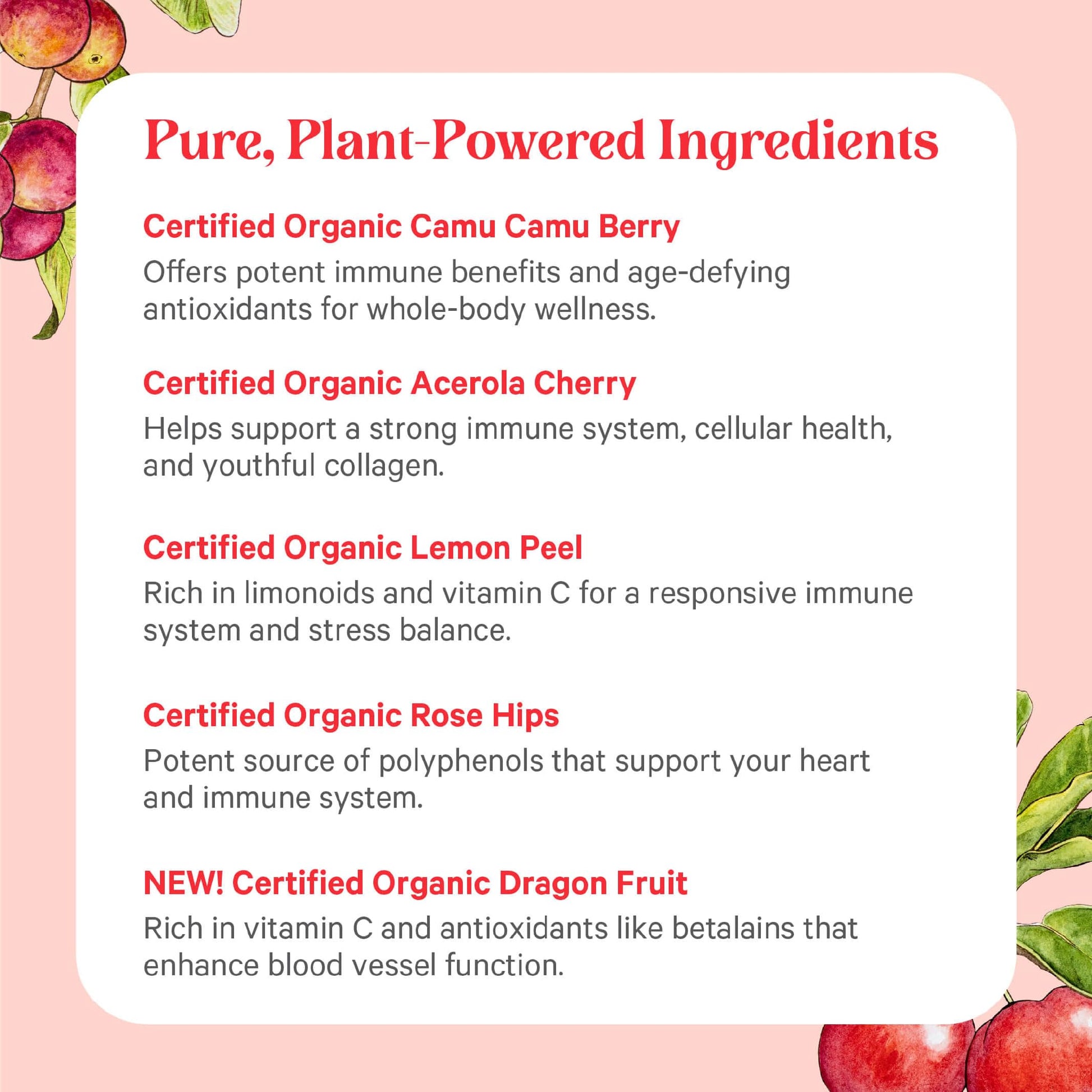 PURE SYNERGY Pure Radiance C | Organic Vitamin C Capsules | 100% Natural, Whole Food, Non-GMO Supplement with Organic Camu Camu - Maple Wellness Supplements