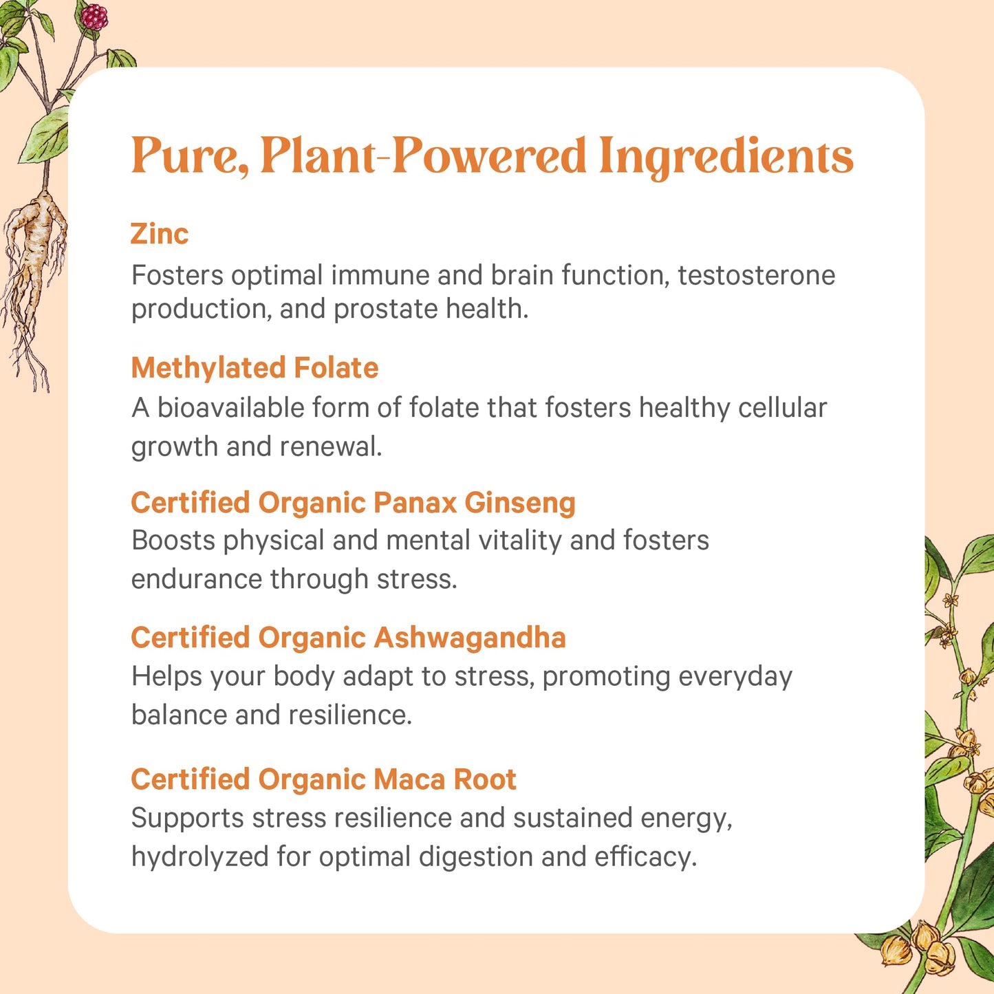 PURE SYNERGY Vita·Min·Vitality | Natural Multivitamin for Men | Men’s Daily Multivitamin Made with Organic Whole Foods | for Energy, Stress, and Immune Support (60 Tablets) - Maple Wellness Supplements