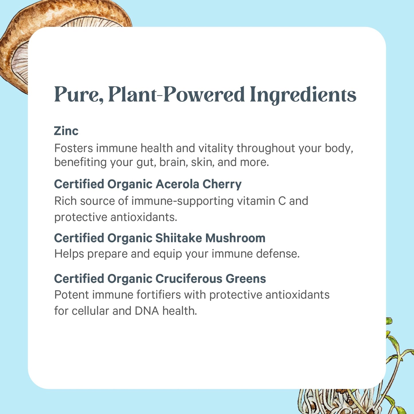 PURE SYNERGY Zinc Complex | Immune Support Supplement | Natural, Vegan Zinc Complex with Vitamin C and Organic Whole Foods | for Immune - Maple Wellness Supplements