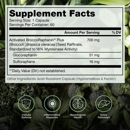 Pure Therapro Rx OncoProtect ES HIGH DOSE Sulforaphane Supplement, Made in USA | 2 Month Supply | 706 mg Patented Activated BroccoRaphanin Broccoli Seed Extract | Glucoraphanin + Myrosinase - Maple Wellness Supplements