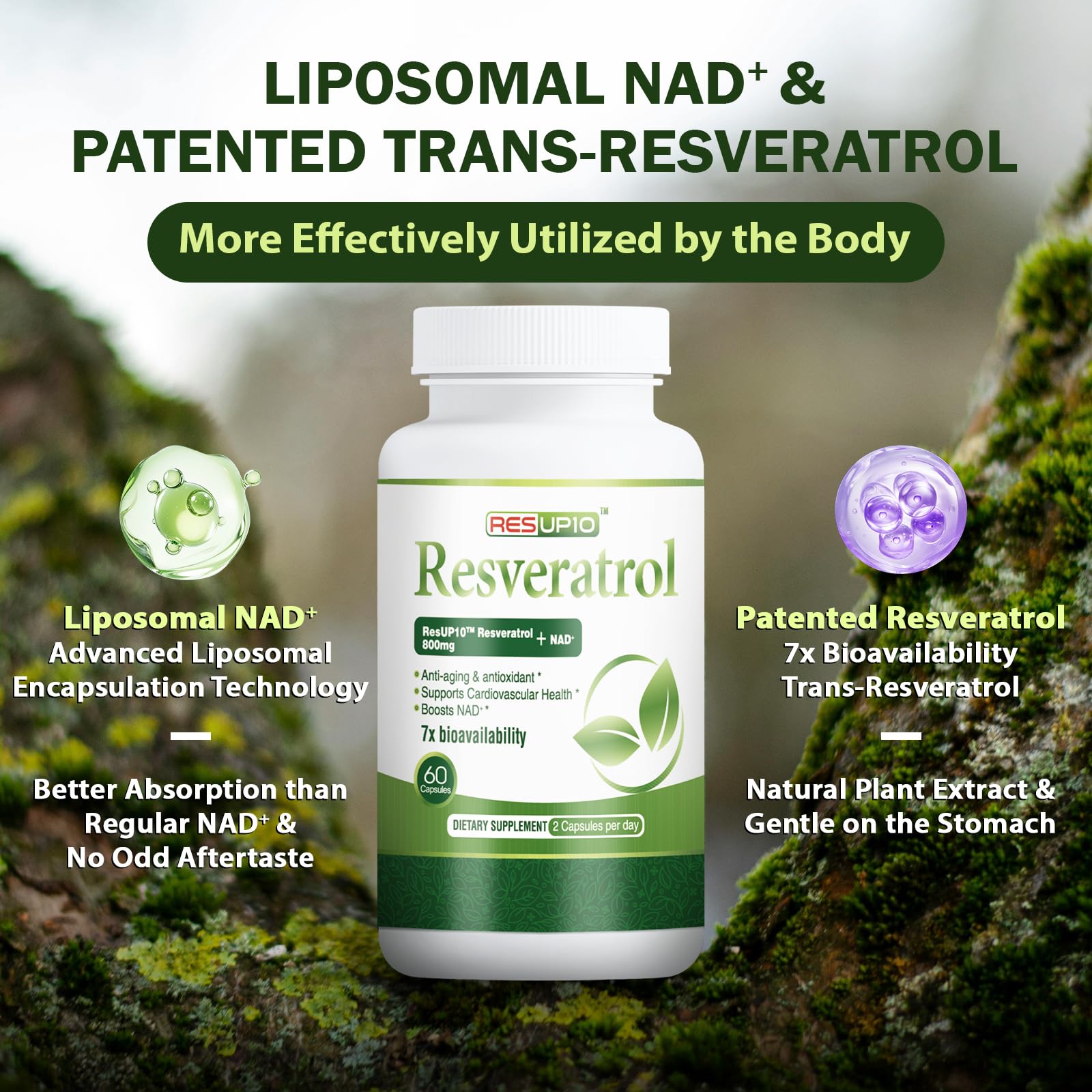 PureBotan Liposomal NAD+ Resveratrol Supplement 1300mg, High Bioavailable Trans Resveratrol ResUP10, with Extra Strength NAD Plus, Support Aging, Cardiovascular Health and Cellular Energy, 60 Capsules - Maple Wellness Supplements