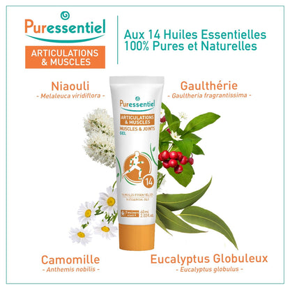 Puressentiel Muscles and Joints Gel - Soothing Gel for Muscle Relief and Knee Relief - Cooling Gel for Foot Relief - Back Gel - 2.02 oz - Maple Wellness Supplements