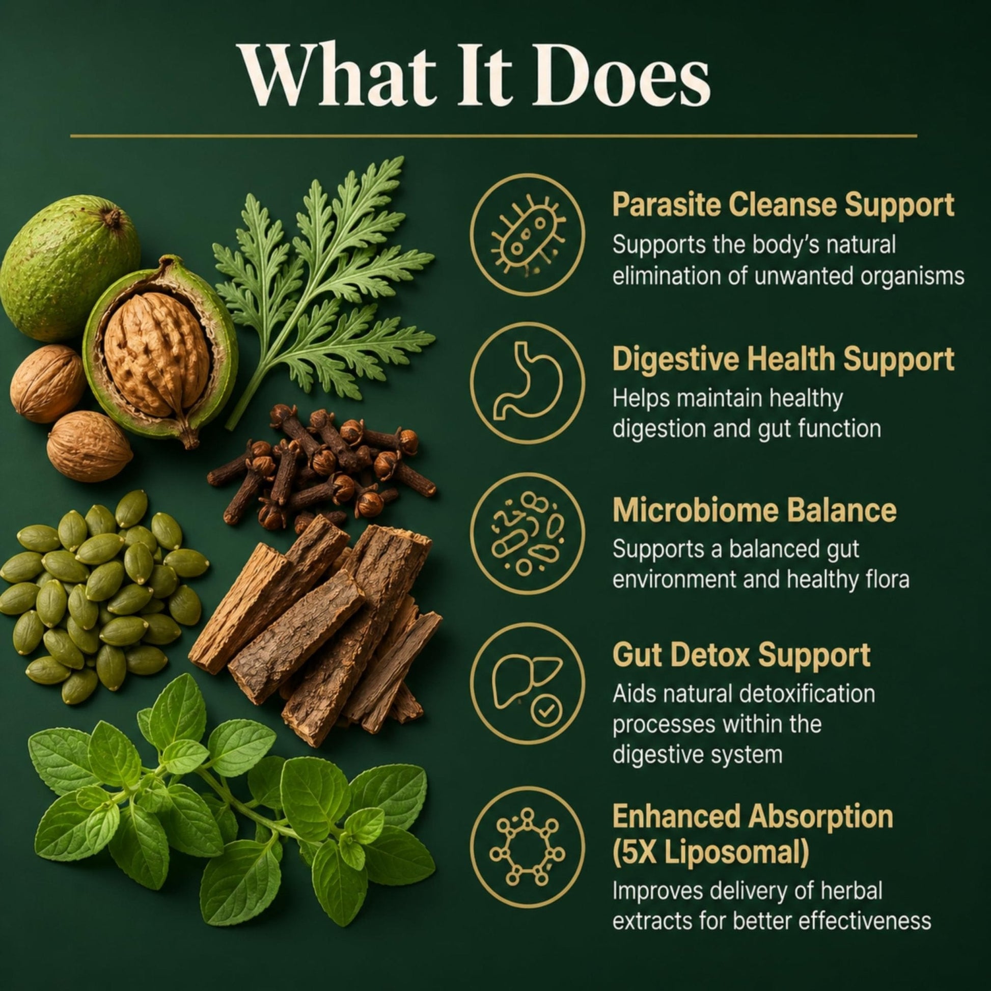 PURETREX Herbal Gut Detox & Cleanse Drops 2 fl oz, Liposomal Dewormer for Humans with Wormwood, Black Walnut, Clove, Pumpkin Seed, PAU D'Arco, Candida - Maple Wellness Supplements