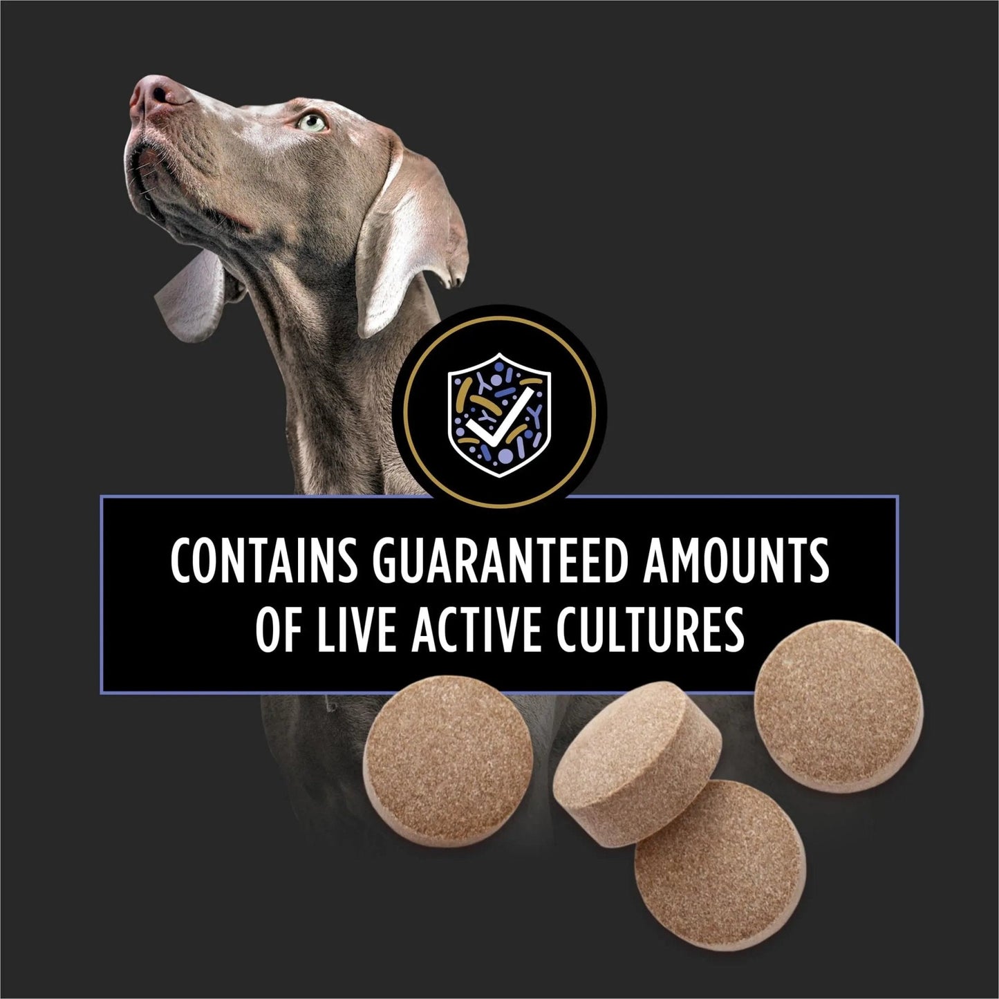 Purina Pro Plan Veterinary Supplements FortiFlora Daily Probiotics for Dogs Chewable Tablets for Digestive Gut Health and Diarrhea - 90 ct. Canister - Maple Wellness Supplements