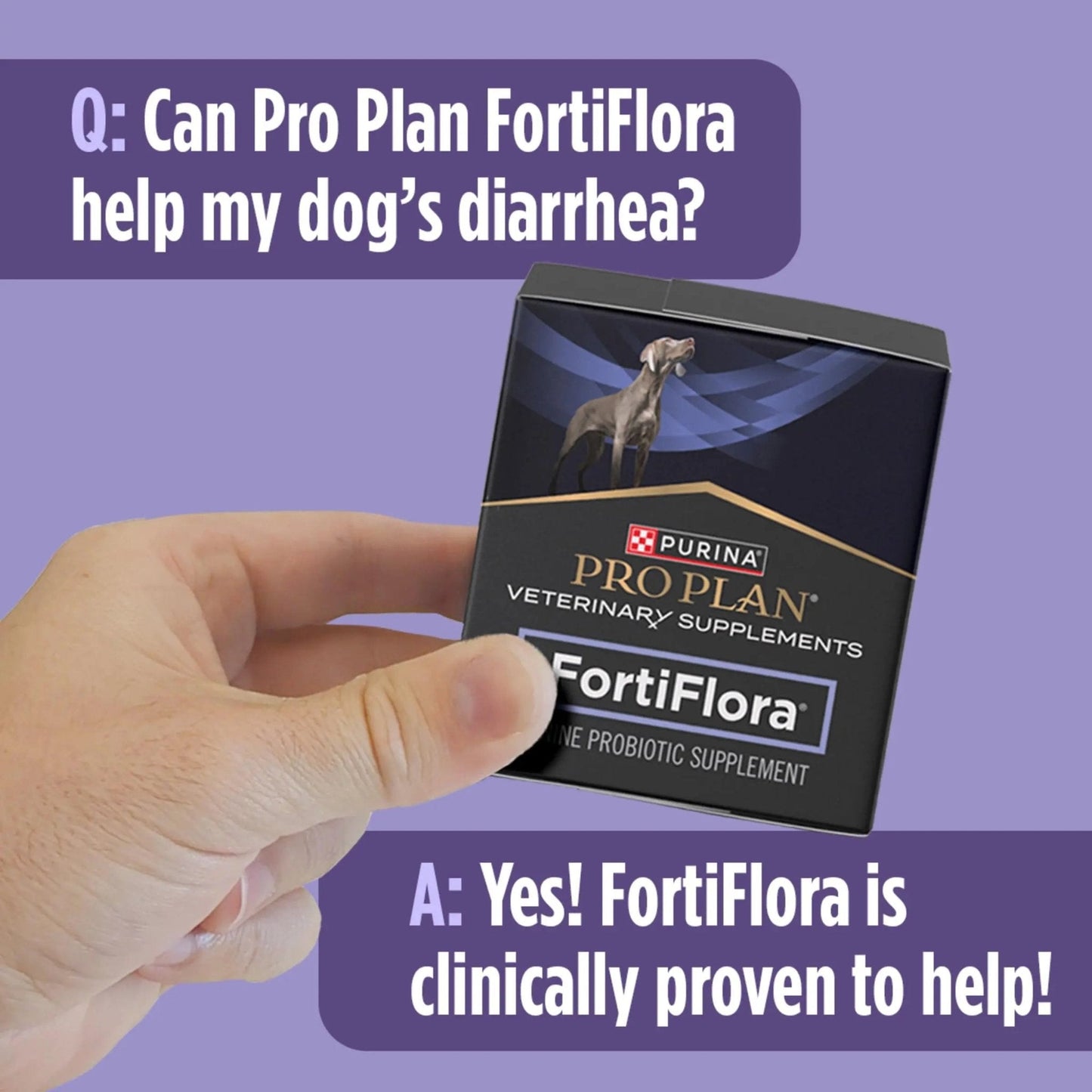 Purina Pro Plan Veterinary Supplements FortiFlora Daily Probiotics for Dogs, Helps Digestive Gut Health and Diarrhea - 30 ct. Box - Maple Wellness Supplements