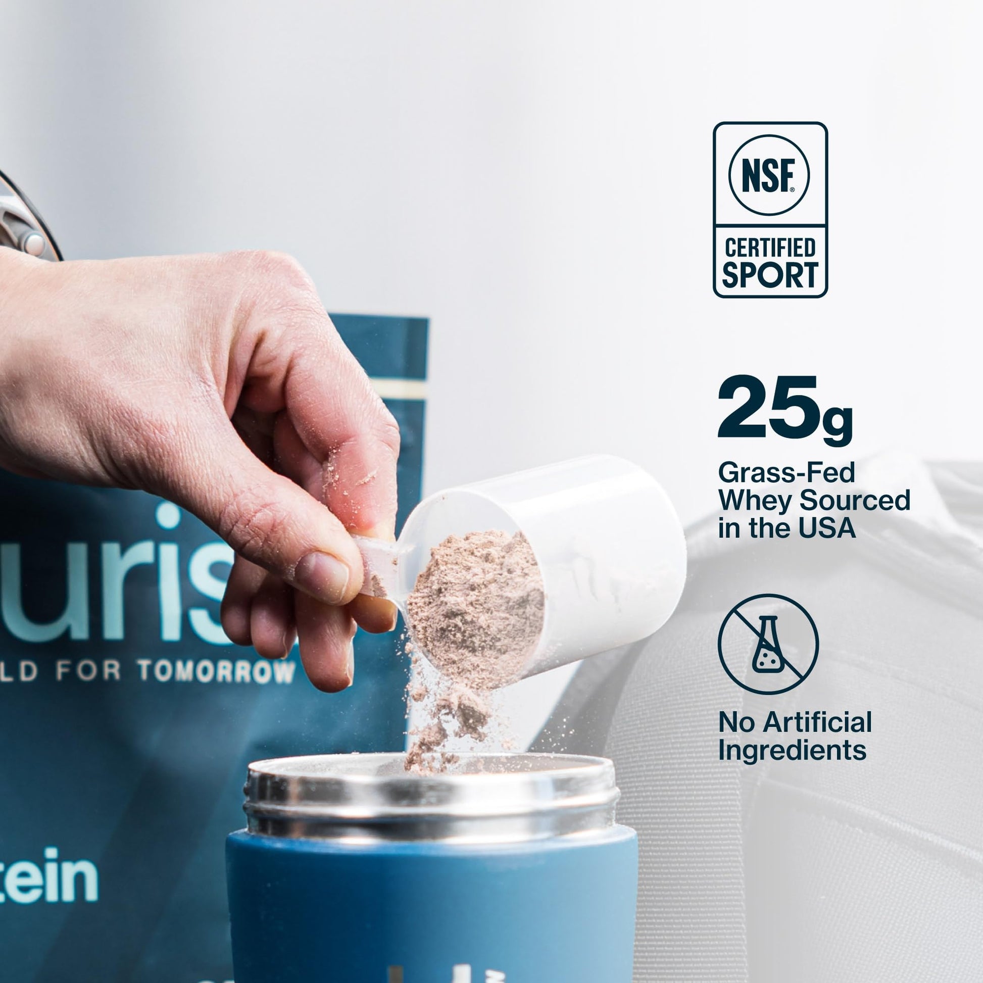 PURIST REP Whey Protein Powder, Premium Milk Chocolate Grassfed Isolate,Workout Recovery, Keto Friendly, Clean Nutrition Meal Replacement, Promotes Lean Muscle, Sugar and Gluten-Free Women Men, 2 Lb - Maple Wellness Supplements