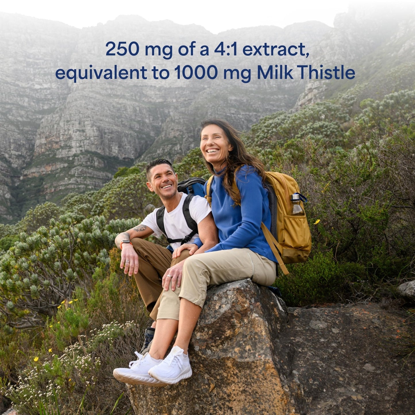 Puritan's Pride Milk Thistle Silymarin 4:1 Concentration Extract 250 mg (1000 mg Equivalent) - Maple Wellness Supplements