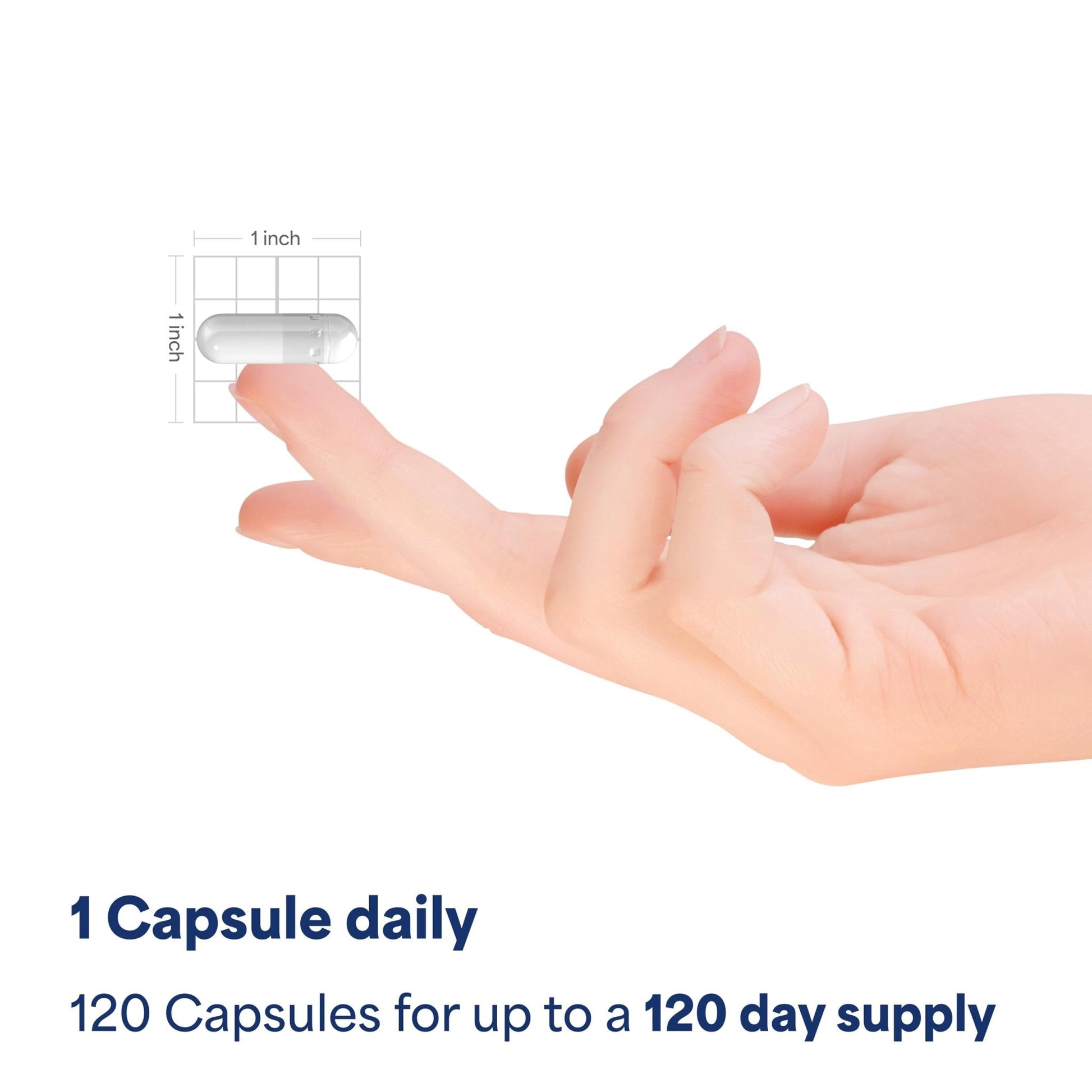 Puritan's Pride Triple Magnesium Complex with Magnesium Oxide, Aspartate, and Citrate 400mg, Dietary Supplement for Muscle, Heart, Nerve, and Bone Support, 120 Rapid Release Capsules - Maple Wellness Supplements