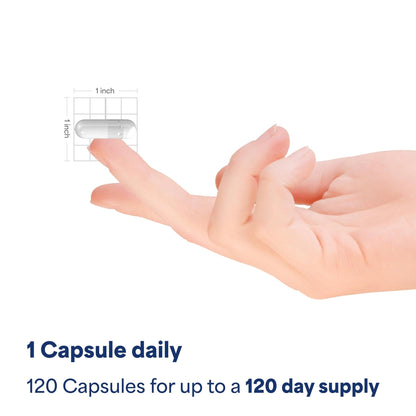 Puritan's Pride Triple Magnesium Complex with Magnesium Oxide, Aspartate, and Citrate 400mg, Dietary Supplement for Muscle, Heart, Nerve, and Bone Support, 120 Rapid Release Capsules - Maple Wellness Supplements
