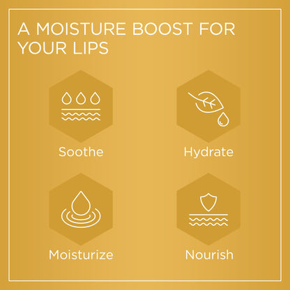 PURITI Manuka Honey Lip Balm – 3pack Soothing & Moisturizing, Enriched with Almond - Maple Wellness Supplements
