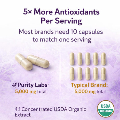 Purity Labs Trans-Resveratrol Supplement 5,000 mg Equivalent per Serving with Quercetin, USDA Organic High Potency Antioxidant, - Maple Wellness Supplements