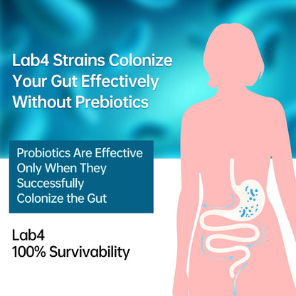 purmeo Probiotics for IBS Anti Diarrhea, Gas, Bloating - Support Immune, Digestive & Gut Health - Clinical Proven Lab4 Strains IBS-D Supplement 20 Billion CFU, - Maple Wellness Supplements