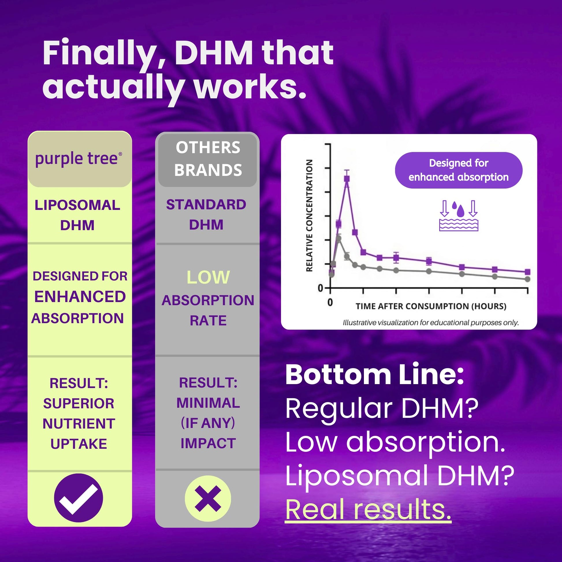 purple tree Post-Celebration Wellness Supplement for Liver Support & Hydration | Liposomal Dihydromyricetin (DHM), L-Glutathione, Milk Thistle - Maple Wellness Supplements