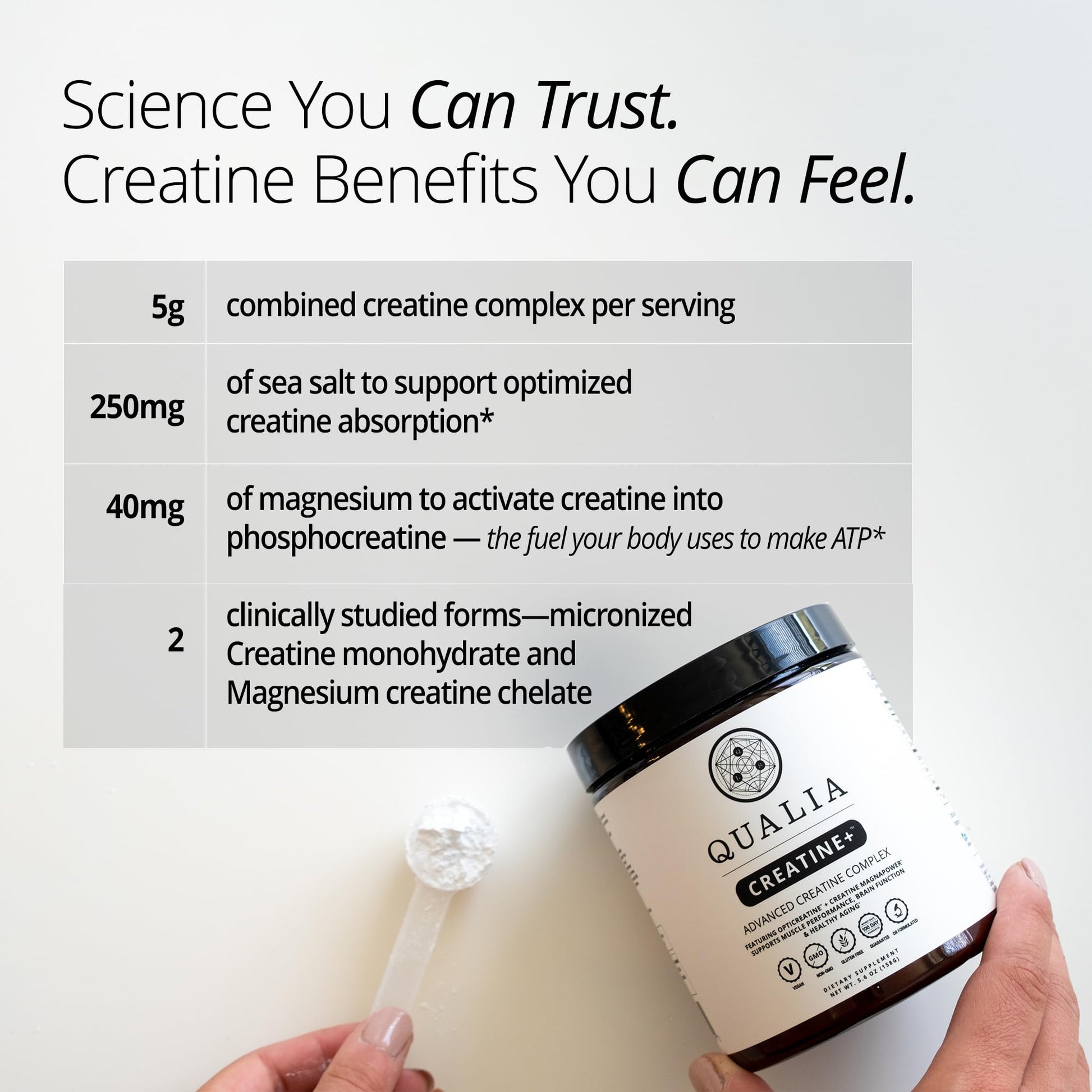 Qualia Creatine | Advanced Creatine Complex | 2 Sources + Magnesium | Optimized Absorption | Muscle Performance, Brain Function, & Healthy Aging (30 Servings) - Maple Wellness Supplements