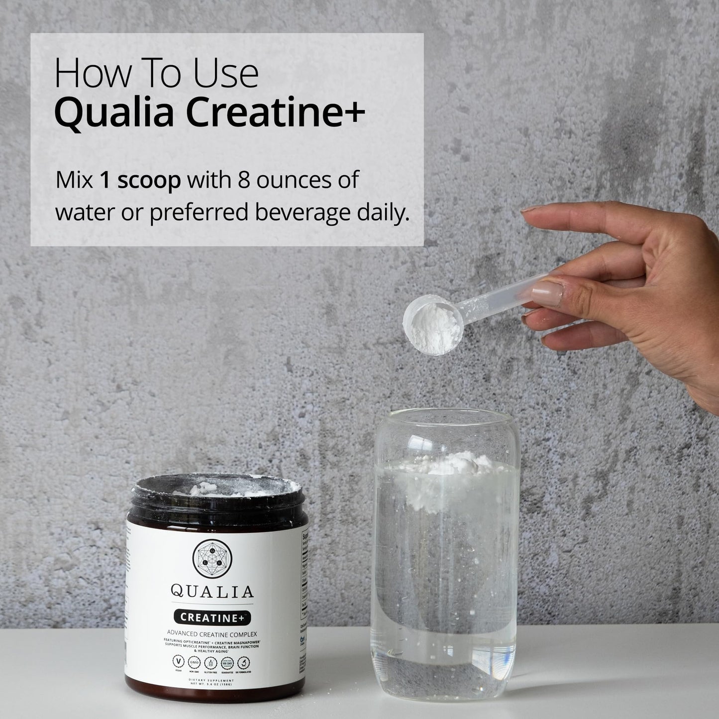 Qualia Creatine | Advanced Creatine Complex | 2 Sources + Magnesium | Optimized Absorption | Muscle Performance, Brain Function, & Healthy Aging (30 Servings) - Maple Wellness Supplements