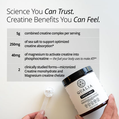 Qualia Creatine | Advanced Creatine Complex | 2 Sources + Magnesium | Optimized Absorption | Muscle Performance, Brain Function, & Healthy Aging (30 Servings) - Maple Wellness Supplements
