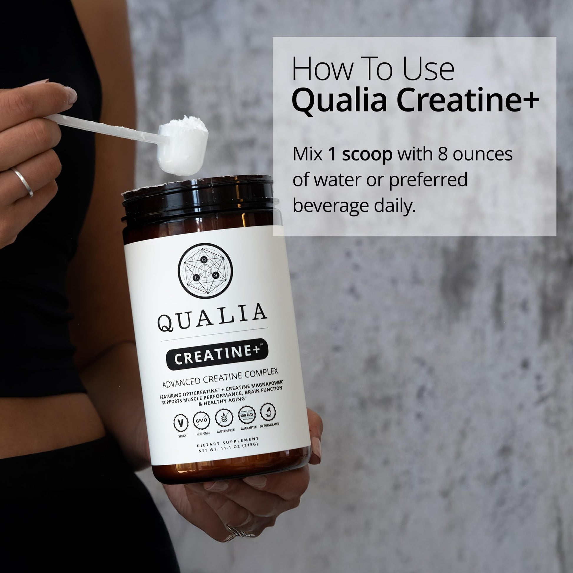 Qualia Creatine | Advanced Creatine Complex | 2 Sources + Magnesium | Optimized Absorption | Muscle Performance, Brain Function, & Healthy Aging - Maple Wellness Supplements