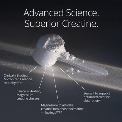 Qualia Creatine | Advanced Creatine Complex | 2 Sources + Magnesium | Optimized Absorption | Muscle Performance, Brain Function, & Healthy Aging - Maple Wellness Supplements
