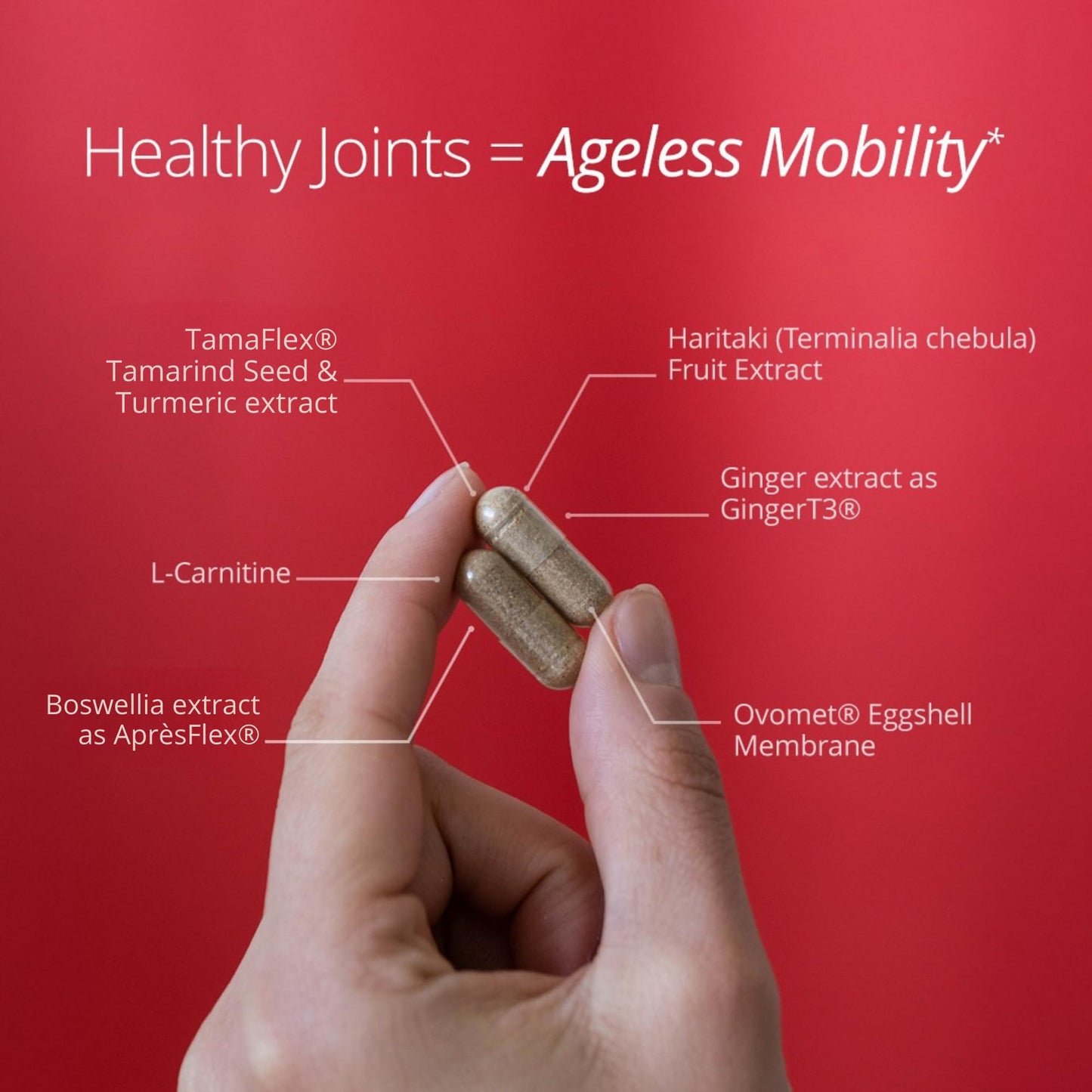Qualia Joint Health 9 Advanced Joint Health nutrients: denatured Collagen, boswellia, tumeric, Boron, Ginger, L-carnitine. Cartilage Health, Tendon Strength, Healthy Joint Aging (1 Month Supply) - Maple Wellness Supplements