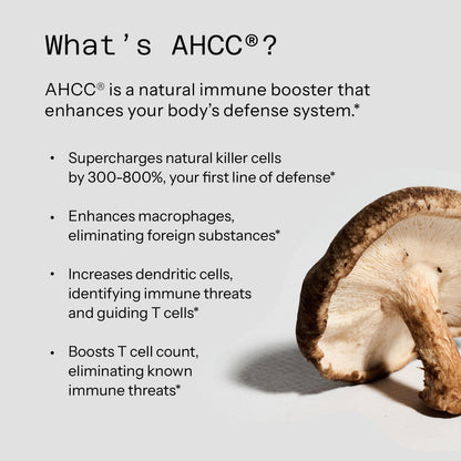 Quality of Life Premium Kinoko Platinum AHCC Herbal Supplement, 750mg per Capsule, for Immune Support, Liver Function, Maintains Natural Killer Cell Activity - Maple Wellness Supplements