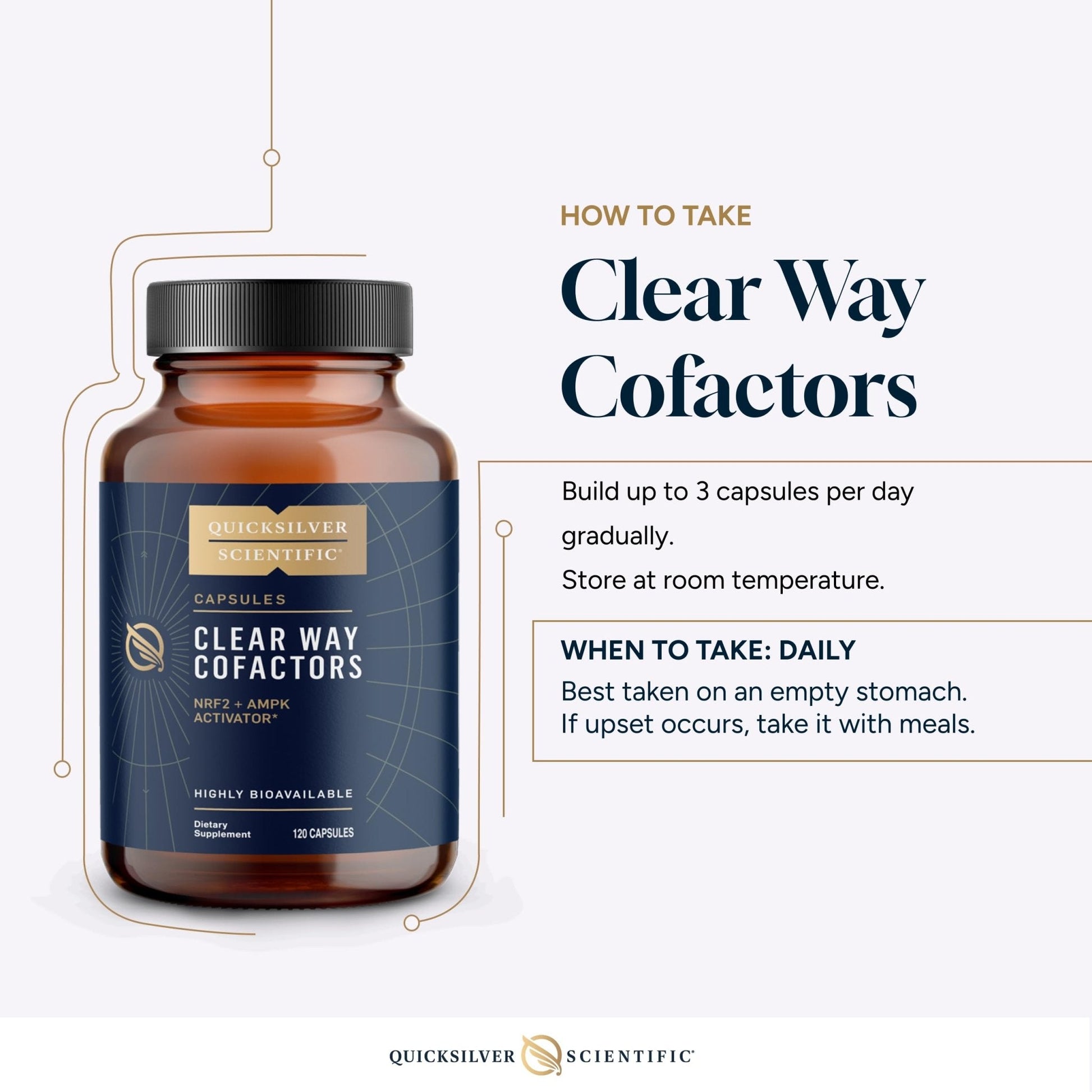 Quicksilver Scientific Clear Way Cofactors - Body Detox Cleanse Support with Vitamin B1, Dandelion Extract, Quercetin & Nattokinase Enzyme - Antioxidant Cleanse to Support Gut Health (120 Capsules) - Maple Wellness Supplements