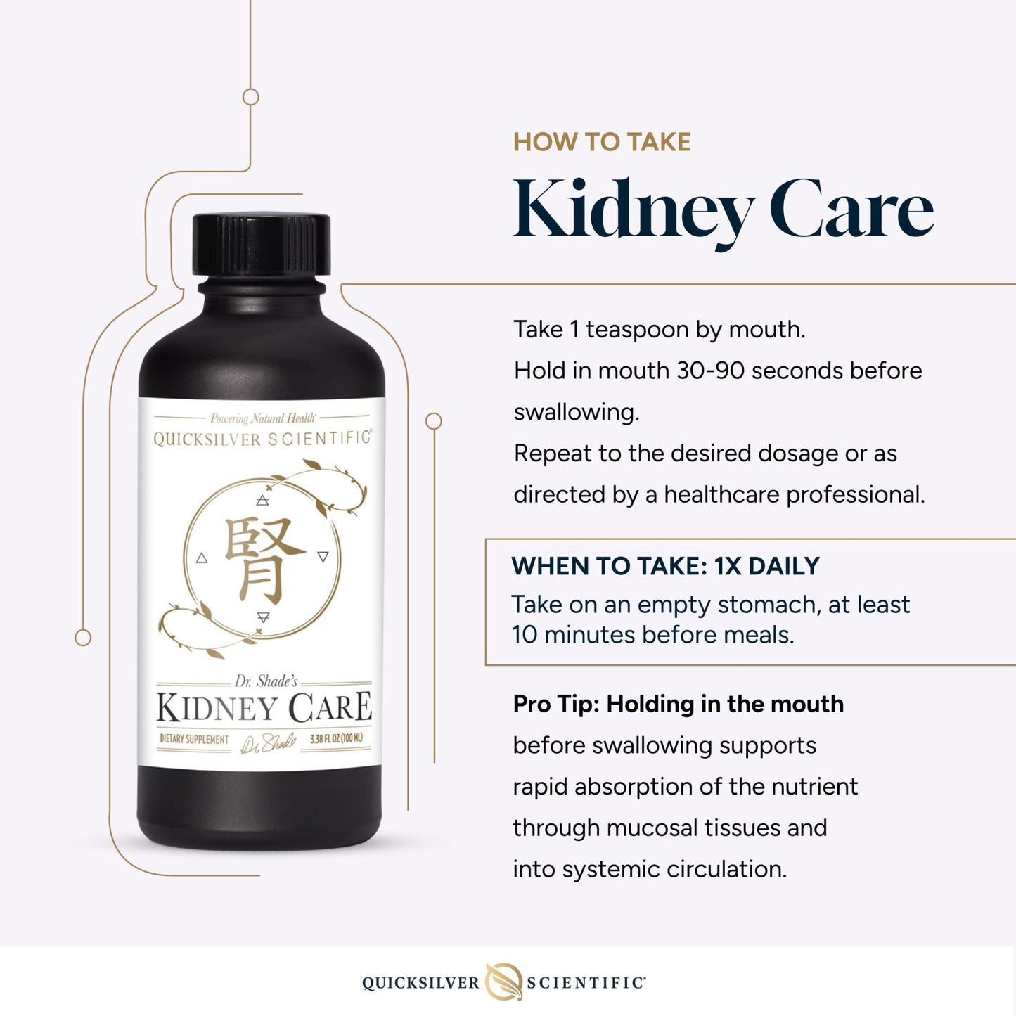 Quicksilver Scientific Kidney Care - Kidney Cleanse & Lymphatic Drainage Supplements - Astragaloside IV Extract, Zhu Ling, Goldenrod, Ferulic Acid, He Shou Wu & Dandelion Leaf (3.38oz / 100ml) - Maple Wellness Supplements