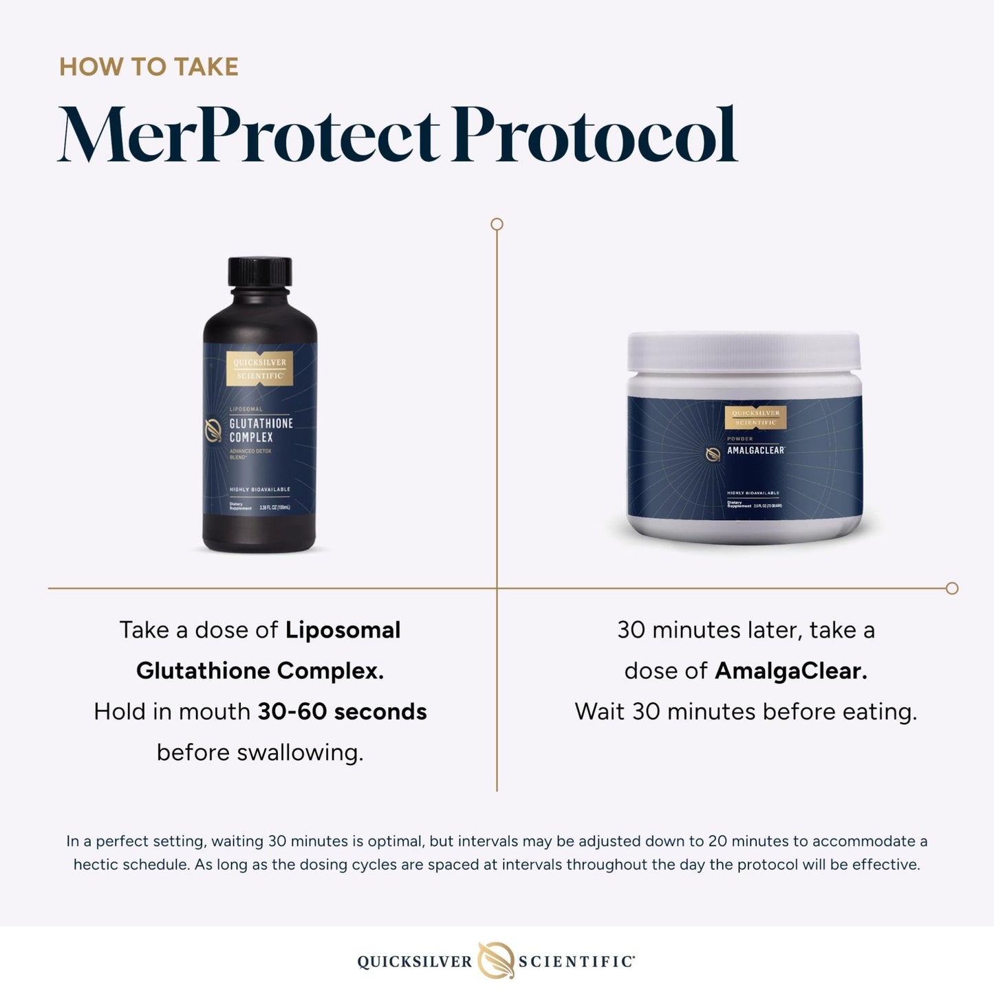 Quicksilver Scientific MerProtect Protocol - 2-Product Liver + GI Cleanse, Liposomal Glutathione Complex Supplement, Cleansing Support with Milk Thistle (2 Piece Kit with Program) - Maple Wellness Supplements