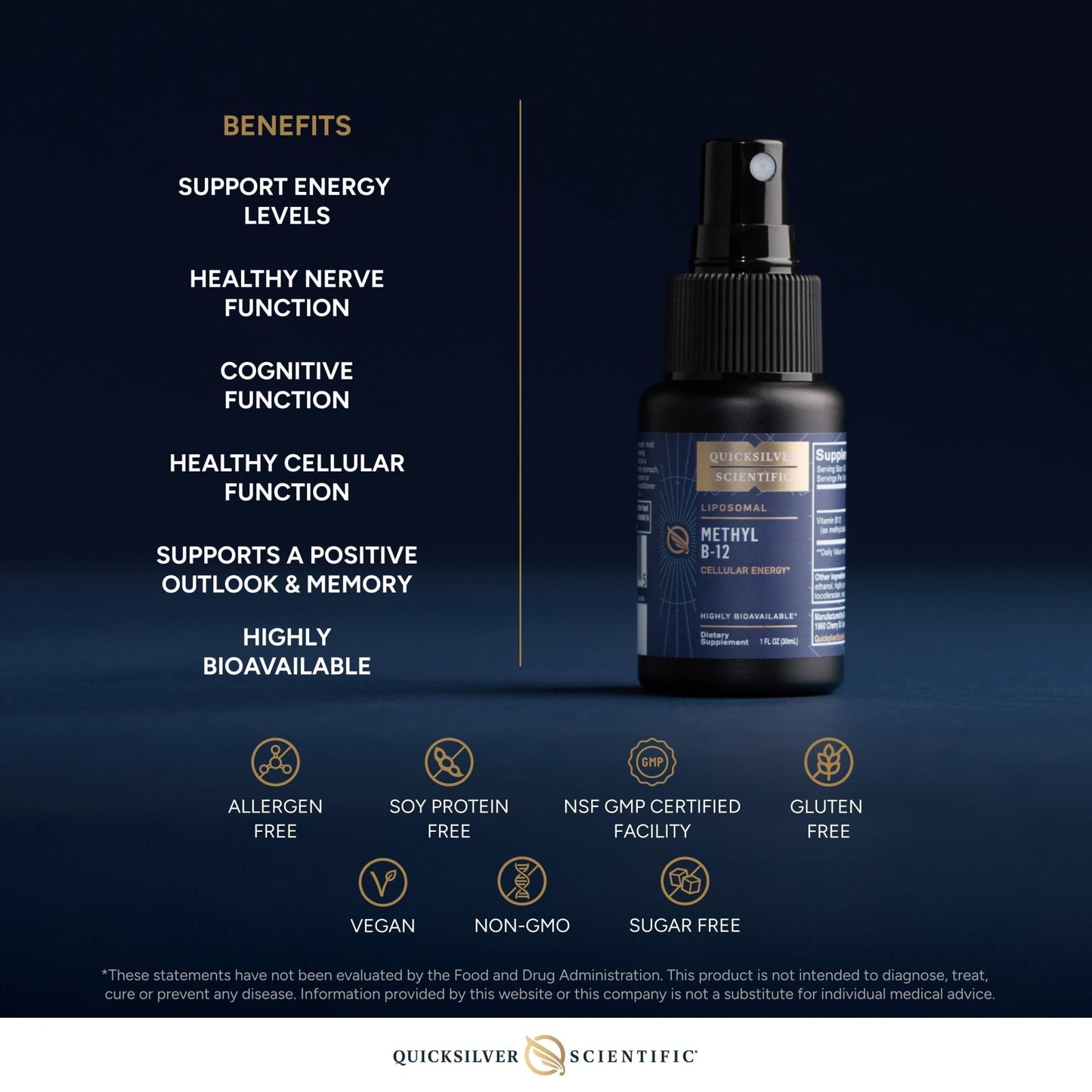 Quicksilver Scientific Methyl B12-1000mcg Vitamin B12 as Methylcobalamin - with Nano Technology for Superior Absorption - Supportive Energy Supplement (30ml / 90 Servings) - Maple Wellness Supplements