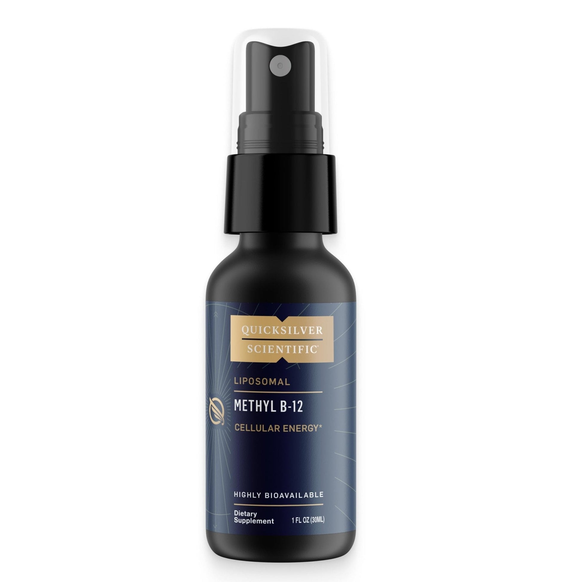 Quicksilver Scientific Methyl B12-1000mcg Vitamin B12 as Methylcobalamin - with Nano Technology for Superior Absorption - Supportive Energy Supplement (30ml / 90 Servings) - Maple Wellness Supplements