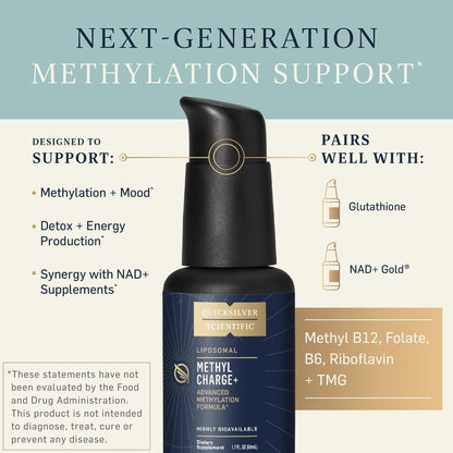 Quicksilver Scientific Methyl Charge - Methylation, Liver, Detox + Energy Supplement - Folate, Vitamin B12, Riboflavin, Vitamin B6 + TMG Supplement with Superior Absorption - Vegan B Vitamins (50ml) - Maple Wellness Supplements