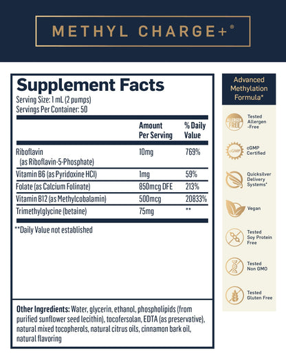 Quicksilver Scientific Methyl Charge - Methylation, Liver, Detox + Energy Supplement - Folate, Vitamin B12, Riboflavin, Vitamin B6 + TMG Supplement with Superior Absorption - Vegan B Vitamins (50ml) - Maple Wellness Supplements