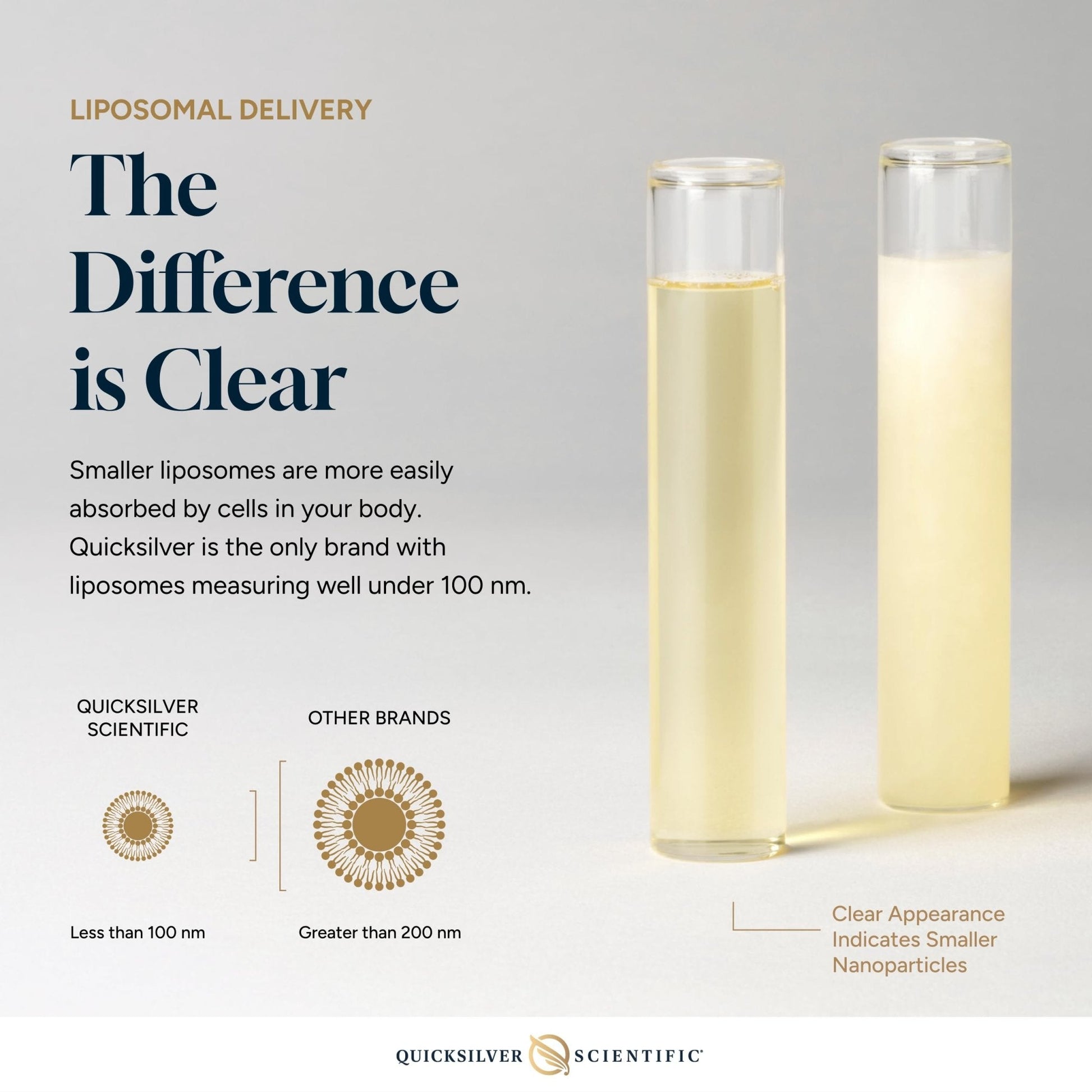 Quicksilver Scientific NanoMojo - Male-Specific Endurance Elixir & Energy Boost Support - 19 Herbs Including Epimedium for Men, Rhodiola Extract, Herbal Ginseng, and Adaptogenic Herbs (1.7oz / 50ml) - Maple Wellness Supplements