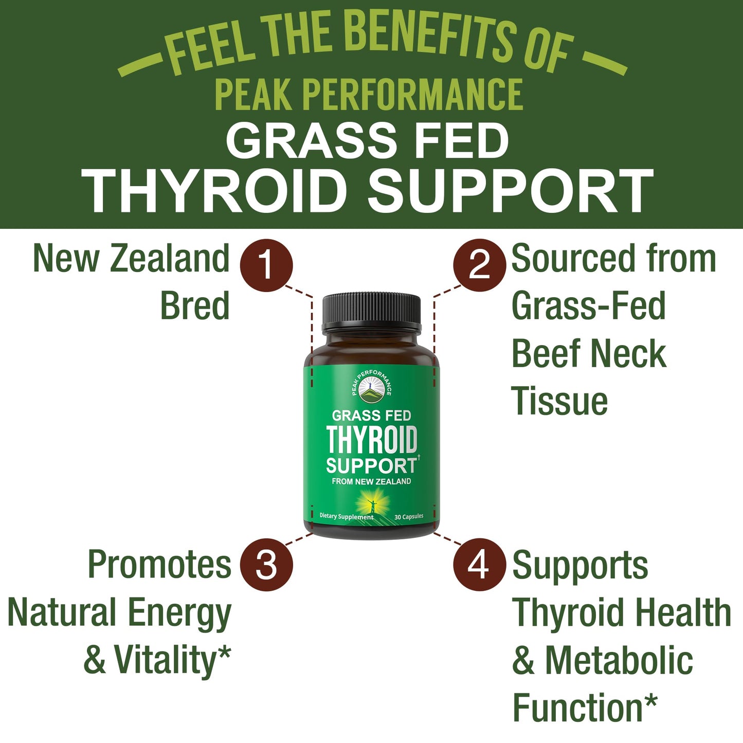 Raw Desiccated Thyroid Supplement. Grass Fed New Zealand Beef Neck & Thyroid Gland Capsules for Women and Men. Ancestral Living Ethically Sourced Bovine Supplements for Energy and Metabolism Support - Maple Wellness Supplements