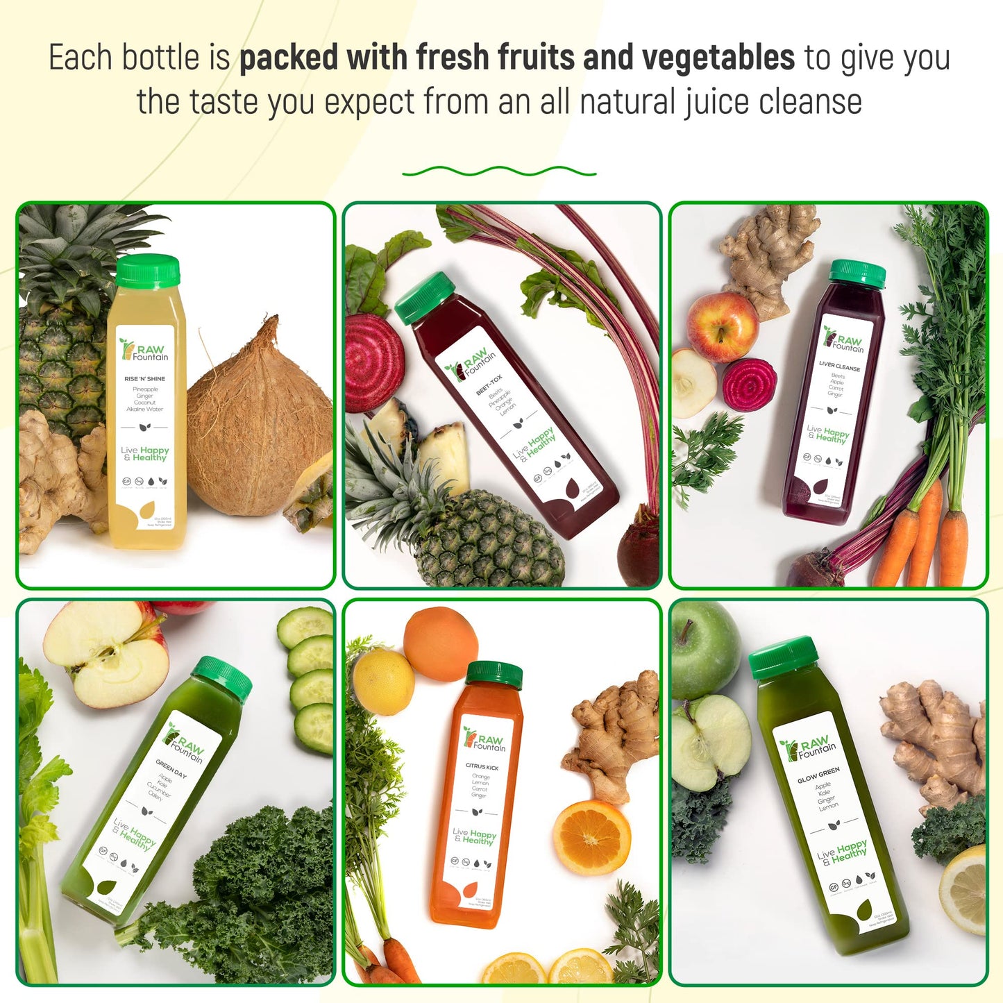 Raw Fountain 1 Day Juice Cleanse, All Natural Detox Cleanse, Cold Presssed Fruit - Maple Wellness Supplements