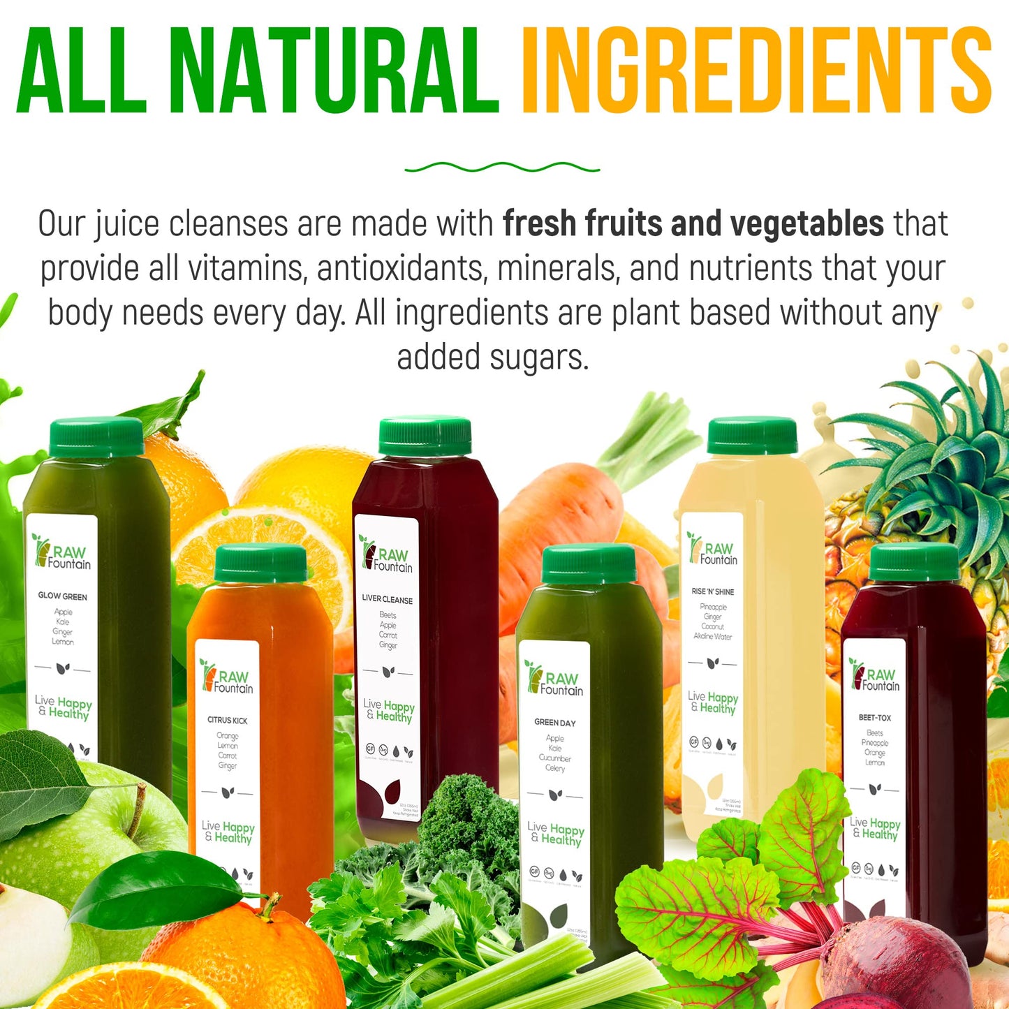 Raw Fountain 1 Day Juice Cleanse, All Natural Detox Cleanse, Cold Presssed Fruit - Maple Wellness Supplements