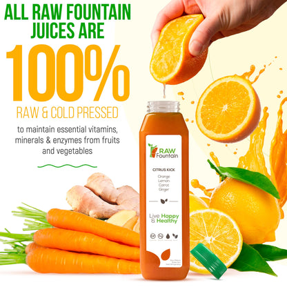 Raw Fountain 1 Day Juice Cleanse, All Natural Detox Cleanse, Cold Presssed Fruit - Maple Wellness Supplements
