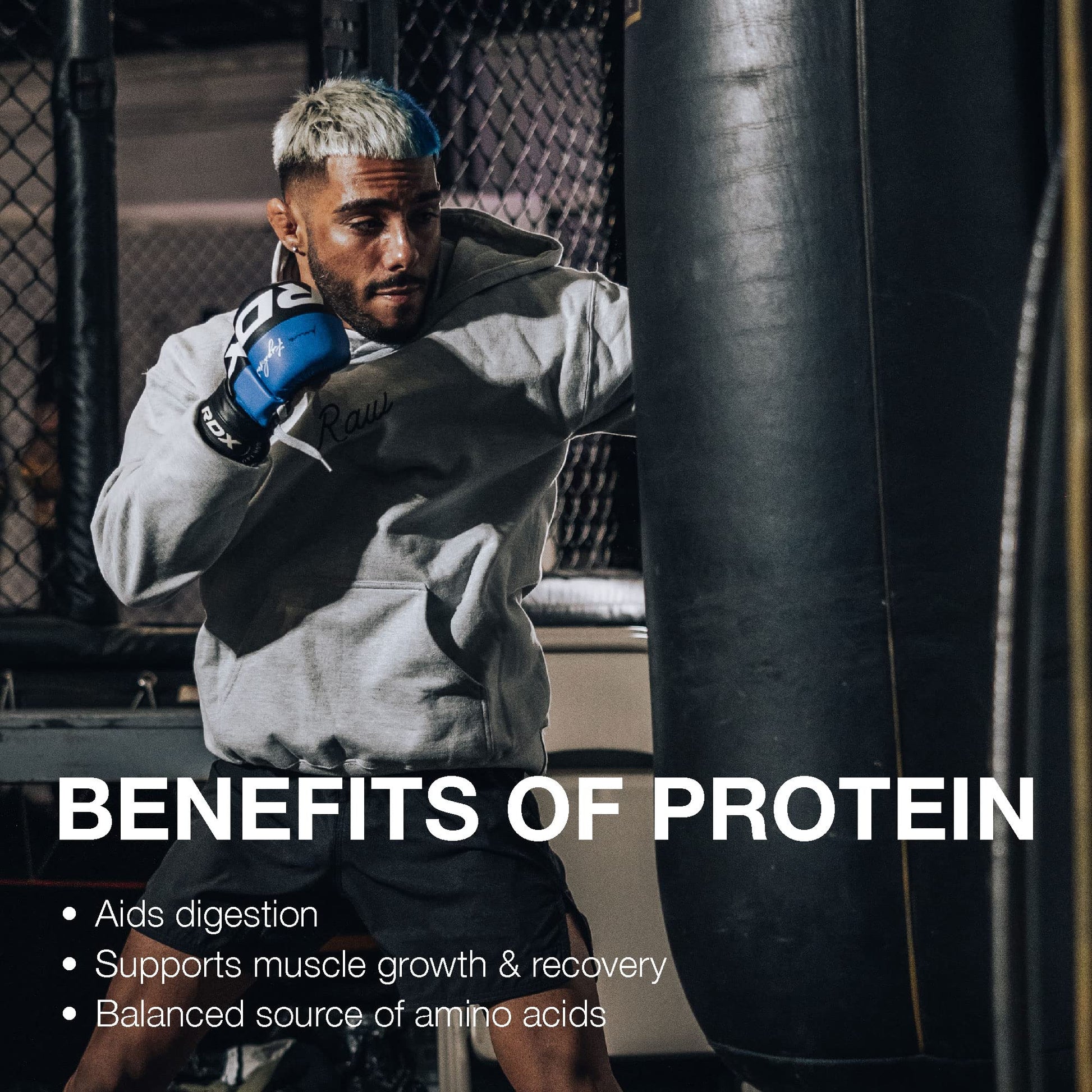 RAW Whey Isolate Protein Powder, Dark Chocolate - 100% Grass-Fed Sports Nutrition - Maple Wellness Supplements