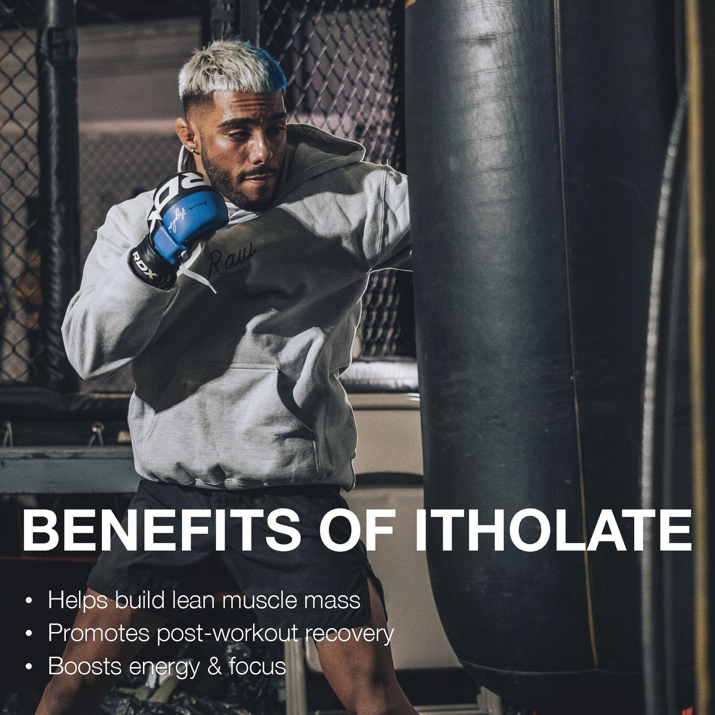 RAW Whey Isolate Protein Powder, Gingerbread (CBUM Itholate Protein) - 100% Grass - Maple Wellness Supplements