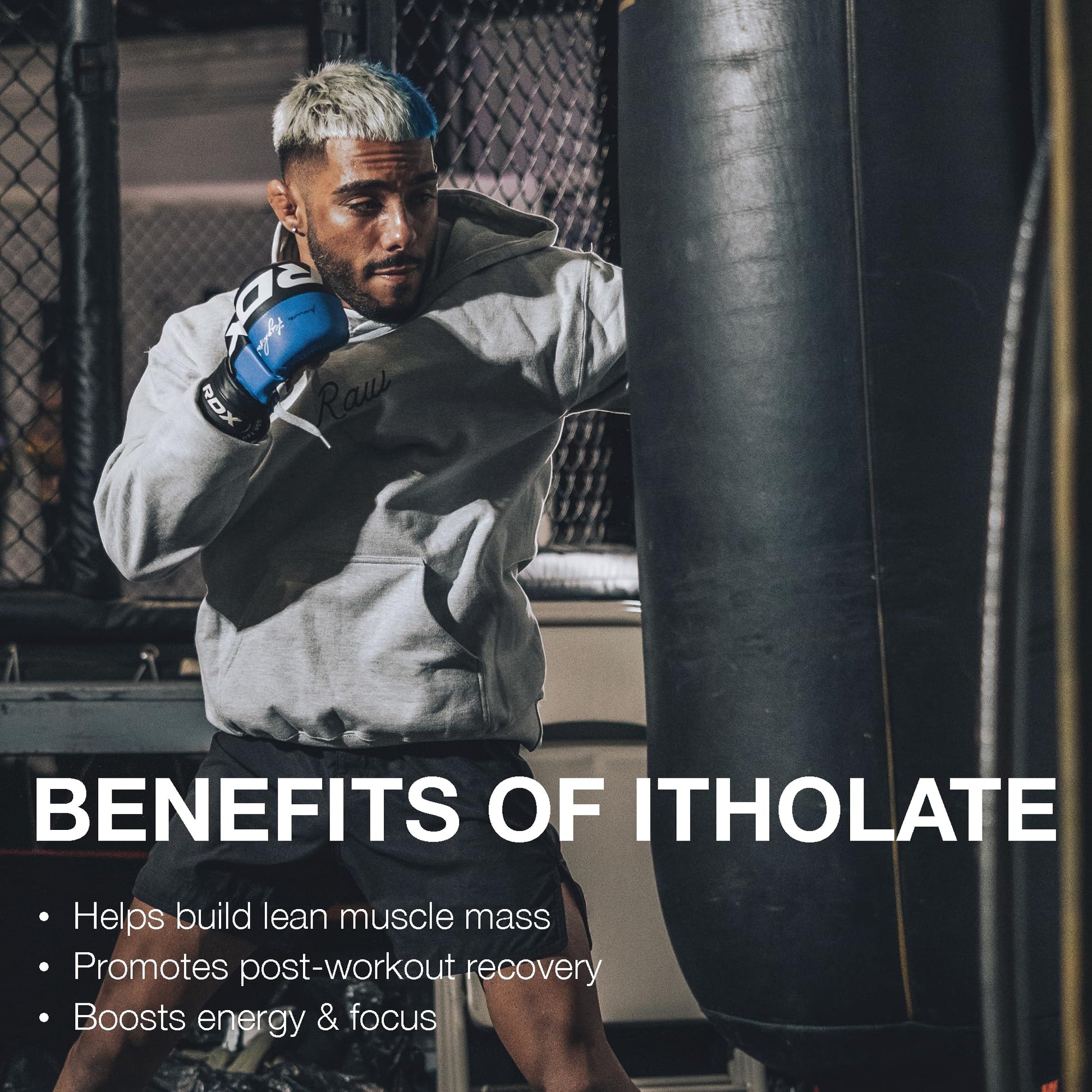 RAW Whey Isolate Protein Powder, Gingerbread (CBUM Itholate Protein) - 100% Grass - Maple Wellness Supplements