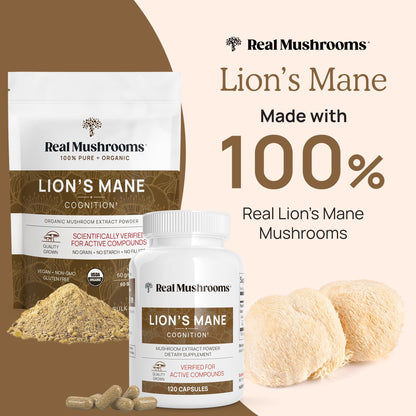 Real Mushrooms Lion’s Mane Powder - Organic Lions Mane Mushroom Extract - Maple Wellness Supplements