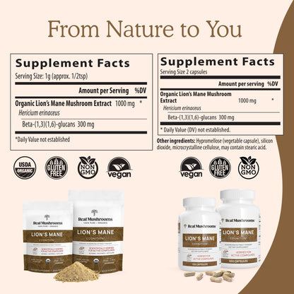 Real Mushrooms Lion’s Mane Powder - Organic Lions Mane Mushroom Extract - Maple Wellness Supplements