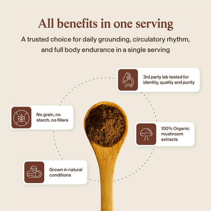 Real Mushrooms Reishi Mushroom Capsules - Handpicked Organic Mushroom Extracts - Maple Wellness Supplements