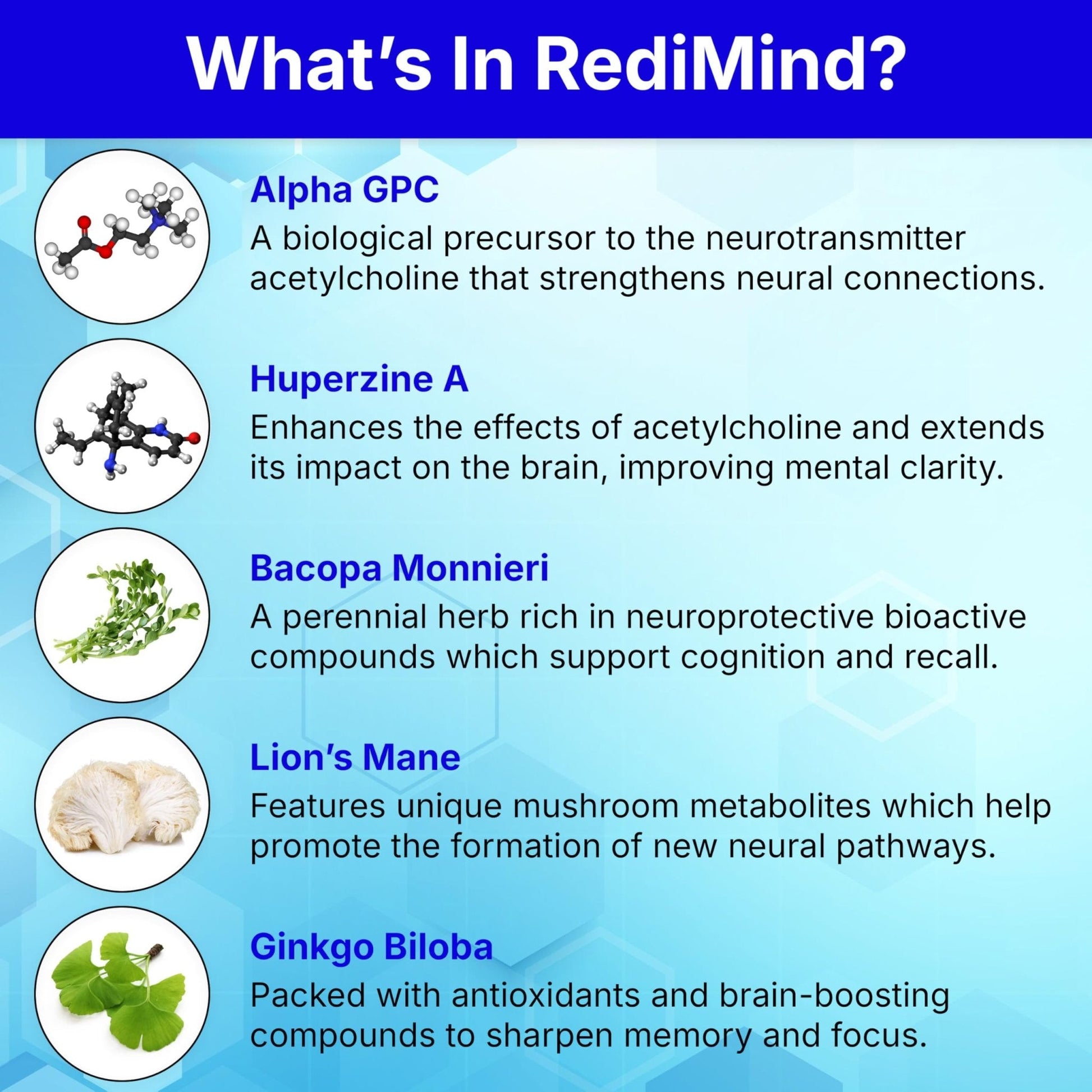 RediMind - Natural Cognitive Enhancement Supplement Capsule - Non-GMO, Vegan, Gluten-Free - Maple Wellness Supplements