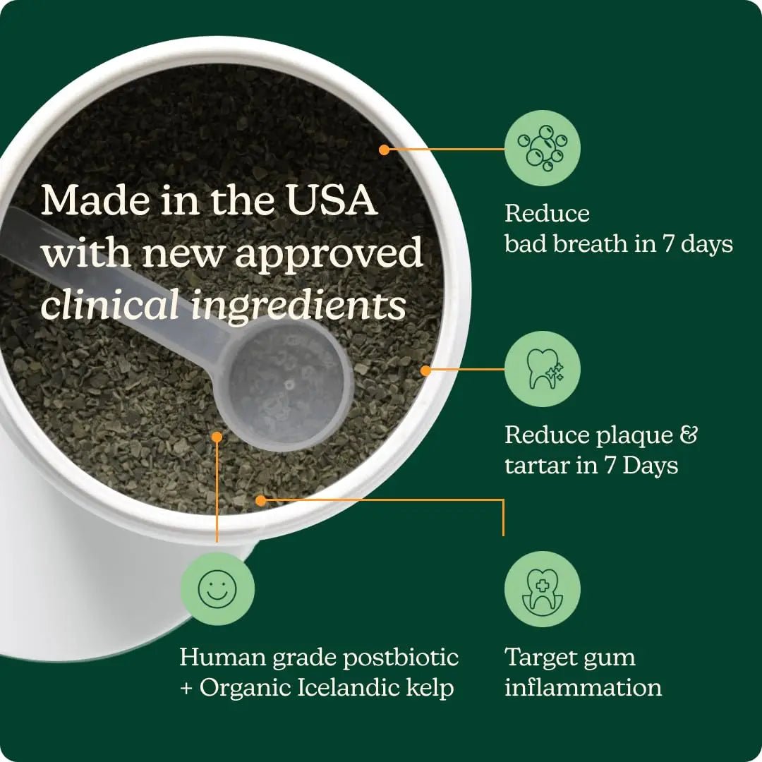 Reggie Dental Powder for Dogs | Reduce Bad Breath in 7 Days, Plaque & Tartar Control | Natural Dog Dental Supplement | Postbiotic Formula with Organic Kelp | Vet-Approved & Made in USA | 60 Servings - Maple Wellness Supplements