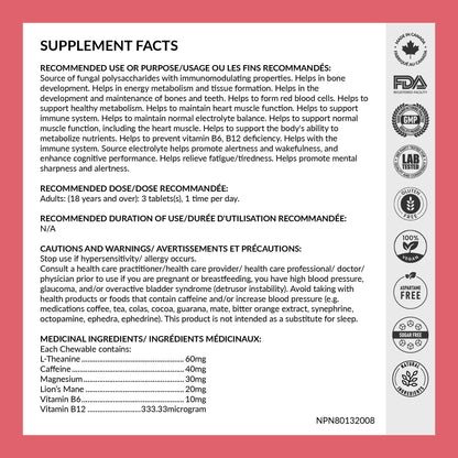 REJUVE+ Focus & Clarity Nootropic Supplement – Brian Boost | L-Theanine, Caffeine, Lion’s Mane, Magnesium, Vitamin B6 & B12 | Brain Support, Memory, Focus & Energy | Mint Flavor (30 Chewables) (1) - Maple Wellness Supplements
