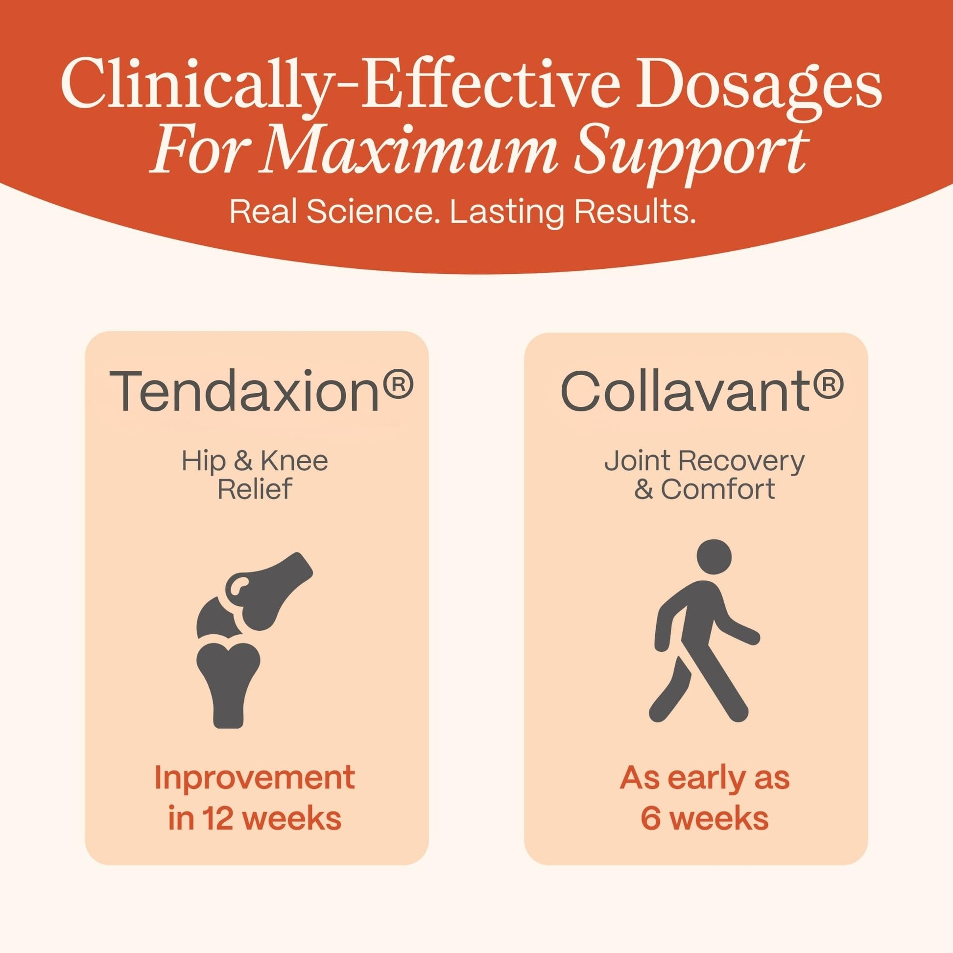 Rejuveen Osteva Joint Support Supplement for Women | High Potency Collagen, Turmeric, Boswellia | for Flexible Cartilage & Tendons, - Maple Wellness Supplements